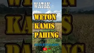 Watak Weton Kelahiran Kamis Pahing #watak #lahir #weton #kamispahing #kamis #pahing