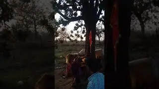 Jay mahuaa Mata Tindni Mandla mp(1)