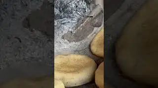 Мунҷг Дарги Шариф