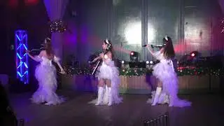 Скрипичное шоу Violin Group DOLLS - корпоративное мероприятие