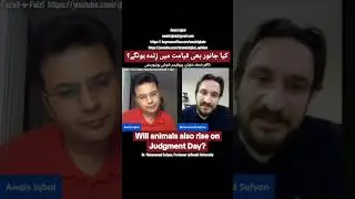 Will animals also rise on judgment day ? Awais Iqbal - Dr. Muhammad Sufyan of University Of Sawabi