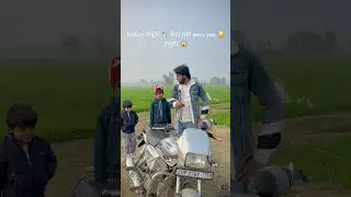 Sultan कबूतर 🕊️ कहा गया miss you 😥 कबूतर 😱#youtubeshorts #pigeon #shortsfeed #shorts