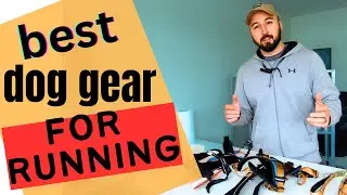 The best dog gear for running with your dog. From cheapest to most expensive doggear