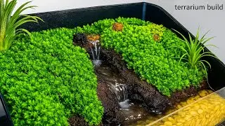 I Never Thought Making A Terrarium Moss Hill Could Be So Simple / DIY Terrarium