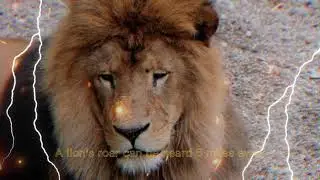 Lion #viral #peolpe #family #funfacts