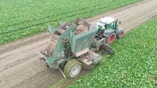 Fendt 415 mit THREGOD beim Zuckerr&uuml;ben roden.