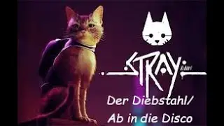 Stray - der Diebstahl / Ab in die Disco