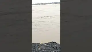 Bihar Flood 2022 । 2022 बिहार में बाढ़।