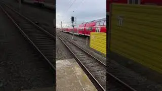 Br 445