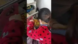 #PILI-Cracker packing machine for plasti shell