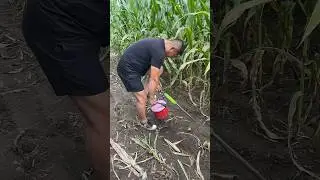 Amazing Farming Machine in Action 🚜💥 | JUST KD Agriculture | Part 912