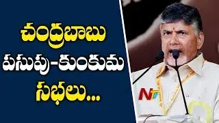 CM Chandrababu Naidu to Address 3 Pasupu Kumkuma Programmes in AP | NTV
