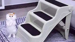 PawHut Foldable Pet Stairs