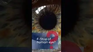 What is the F-Stop of the Human Eye? |Optometry MCQ | #shorts #viralshorts