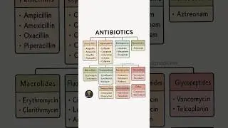 ANTIBIOTIC CLASSIFICATION &mdash; All in one