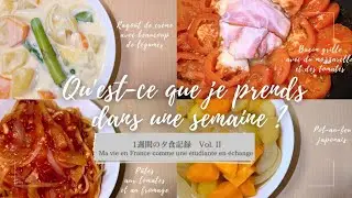 【1週間の夕食記録 Vol. II】クリームシチュー・トマトカレー・ポトフ🍽️etc…| フランス交換留学生の何気ない日常🇫🇷|#010