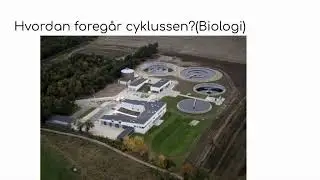 FFF-2020. Jonas og Anders