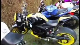 Minor Fighter Indonesia - Fighter Day 8