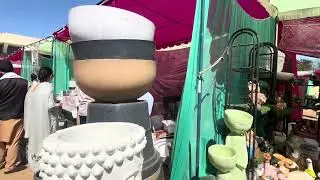 Flowers Show PAU Ludhiana 