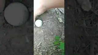 Digging golf ball out of ground in time lapse! #shorts #golf #satisfying #timelapse