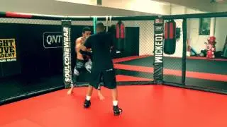 Amer Salhi Fight Move academy 2014