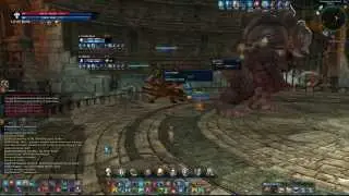 TERA dungeon for 60 level 