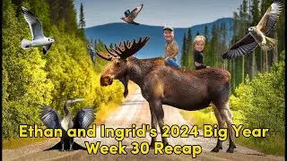 Ethan and Ingrid's 2024 Big Year (Week 30)