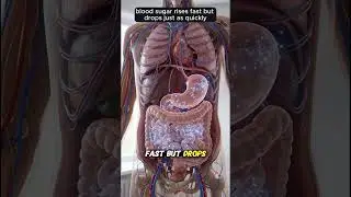 Eating Bread on an Empty Stomach Was a Mistake?#3d #food #science