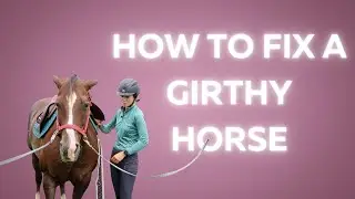 How to Fix a Girthy Horse
