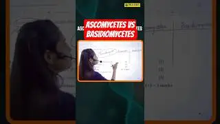 Difference Between Ascomycetes and Basidiomycetes | Kingdom Fungi | #neet #shorts #biology #study