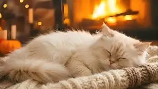 Calming Music for Cats💖Stress-Reducing Music for Cat💖Music to Help Cats Reduce Anxiety