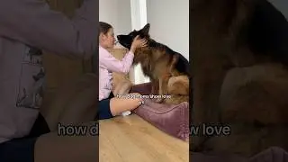 How Dog Mom Shows Affection vs. Dog Dad #dogs #leofucarev