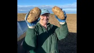 Gleaning for Gold in Southern Idaho!