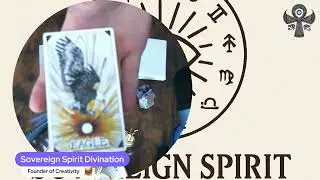 Thursday, Nov. 27th, 2025: Today's Animal Spirit Energy Reading, Eagle