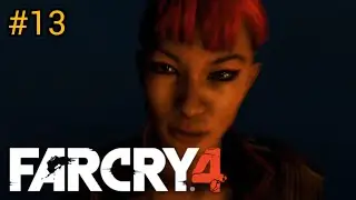 Truth & justice/Payback (Far Cry4) 13
