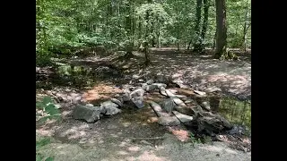 Radtour Wahner Heide, K&ouml;nigsforst, Forsbach, R&ouml;srath, Altenrath
