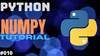 What is Numpy? Python Numpy  Tutorial All you need to know about numpy 🥰🥰 