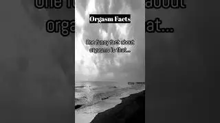have you experienced it? comment down below. like and subscribe #orgasmfacts #shorts