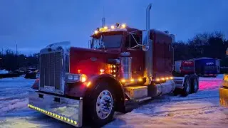 PETERBILT 359 . Trip of the yard)
