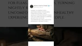 Colchones llenos de par&aacute;sitos ocultos #vikinghistory #booktok #medievalhistory