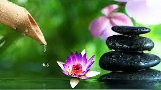 120 minutes  Deep Sleep Music, Calming Music, Insomnia, Sleep, Relaxing Music, Sleep Meditation