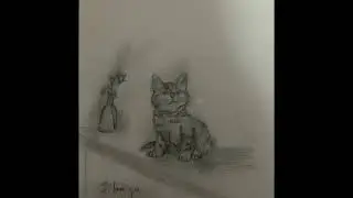 brite boy (lola star cover)