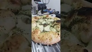 ninja outdoor wood fire pizza oven testing