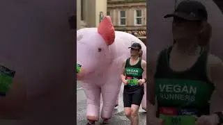 The AJ Bell Great Scottish Run Vegan Runners