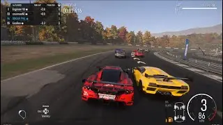 Enzo on Maple Valley