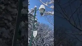 Slow and peaceful morning in Sapporo #youtubeshorts #shorts #peaceful #japan #snow #beautiful #viral
