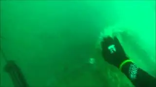 Dirty water jewies