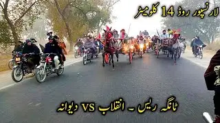 Tanga Race||Inqlaab vs Dewana Horse