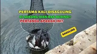 Di Buat Kaget Di Saguling Banyak Ikan Seperti Ini