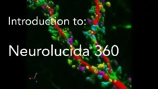 Introduction to Neurolucida 360